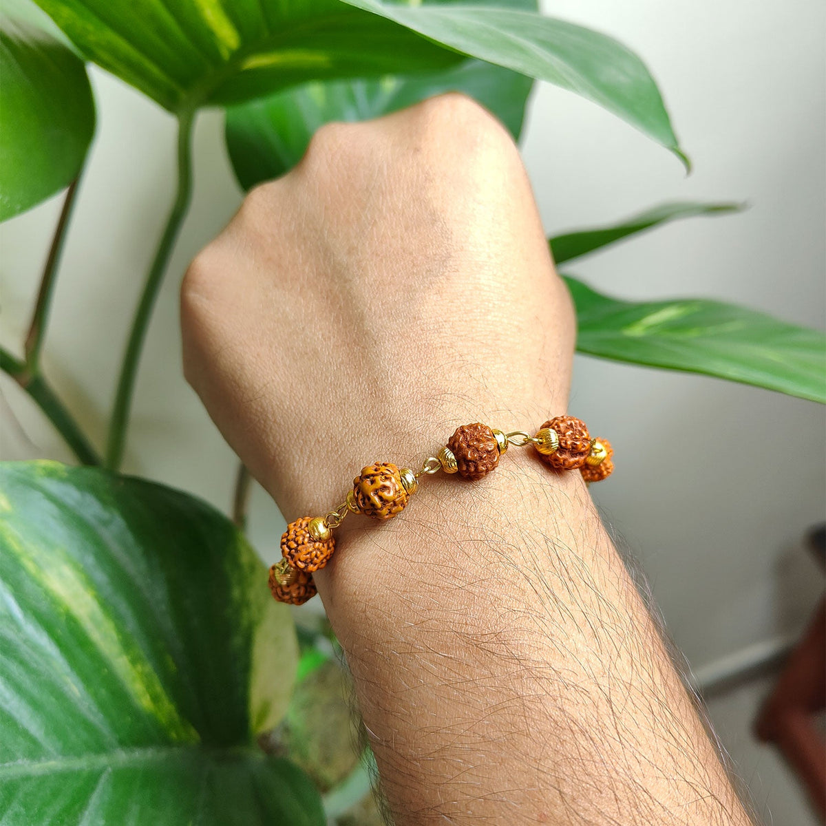 Divine 5 Mukhi Rudraksha Bracelet the powerful energy of Lord Shiva
