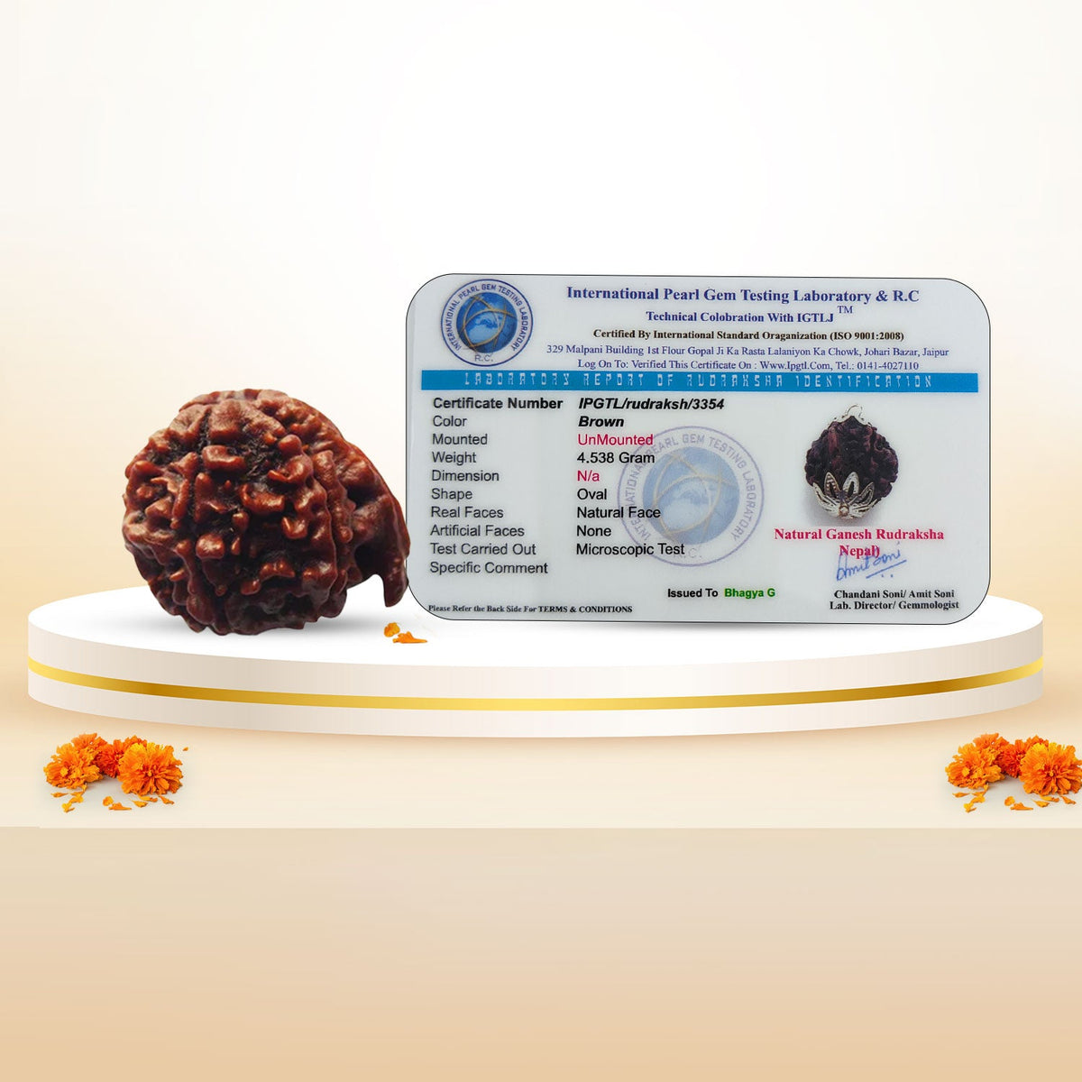 Ganesh Rudraksha (Nepali)