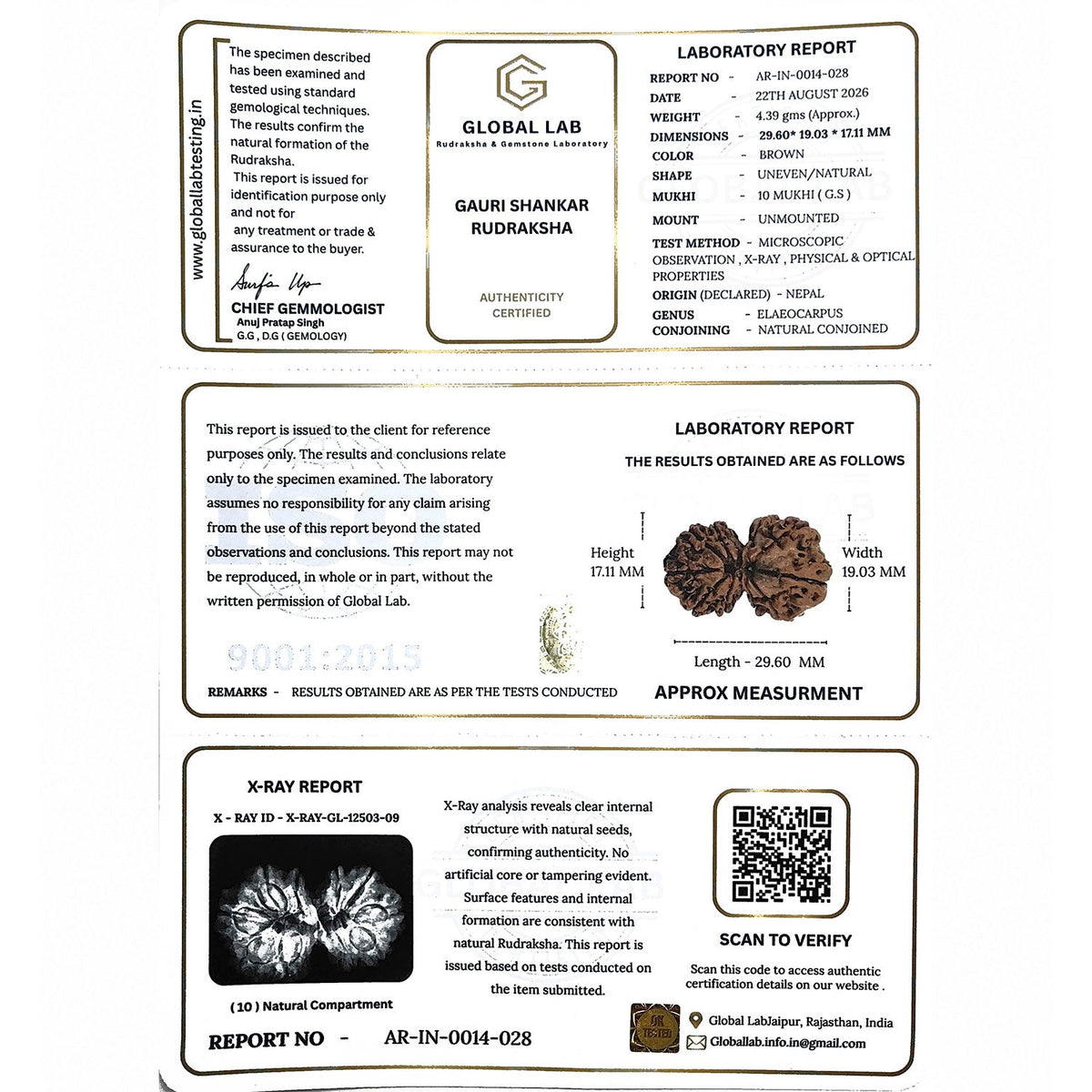Gauri Shankar Rudraksha