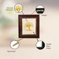 Diviniti 24K Gold Plated Tree of Life Photo Frame For Home Decor & Wall Hanging (13 CM X 15 CM)