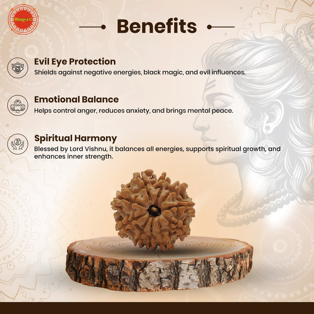 Nepali 10 Mukhi Rudraksha (Lab Certified)
