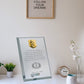 24K Gold Plated Acrylic Trophy for Corporate Gifting
