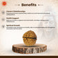 Nepali 2 Mukhi Rudraksha (Lab Certified)