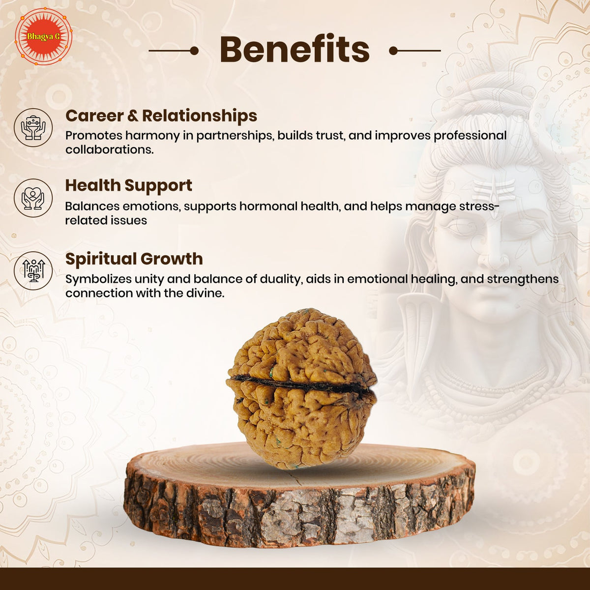 Nepali 2 Mukhi Rudraksha (Lab Certified)
