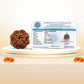 Nepali 4 Mukhi Rudraksha (Lab Certified)