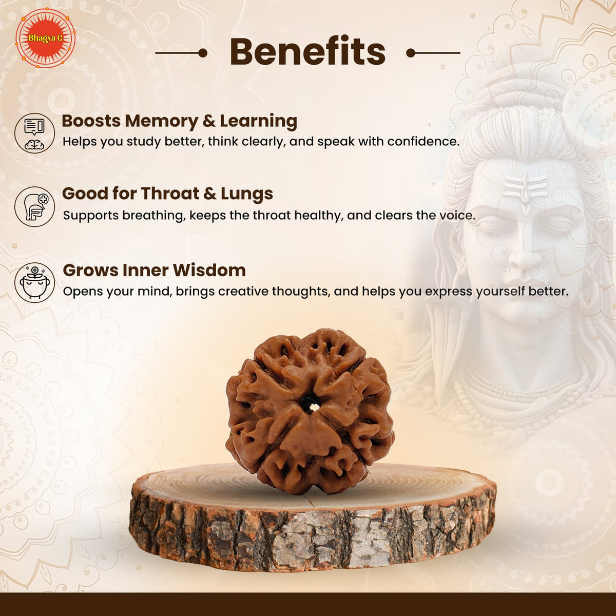Nepali 4 Mukhi Rudraksha (Lab Certified)