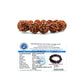 Divine 5 Mukhi Rudraksha Bracelet (Nepali)