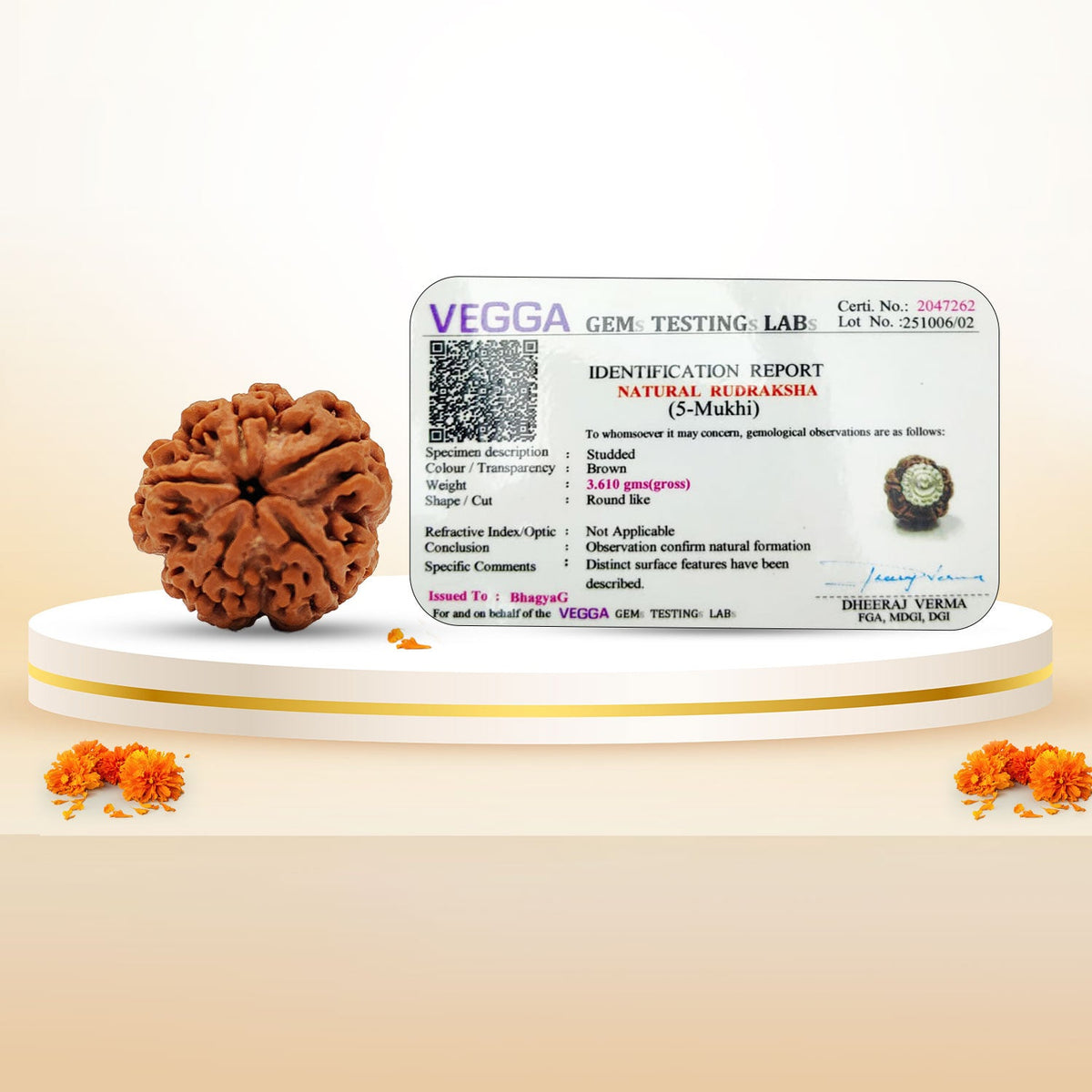Nepali 5 Mukhi Rudraksha (Lab Certified)