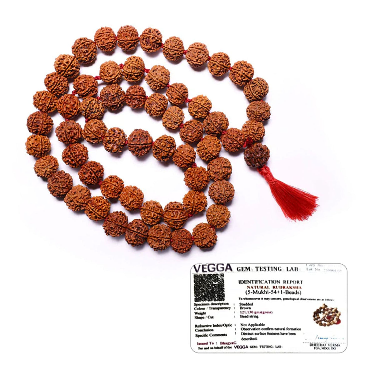 Nepali Rudraksha Mala (54 Beads)