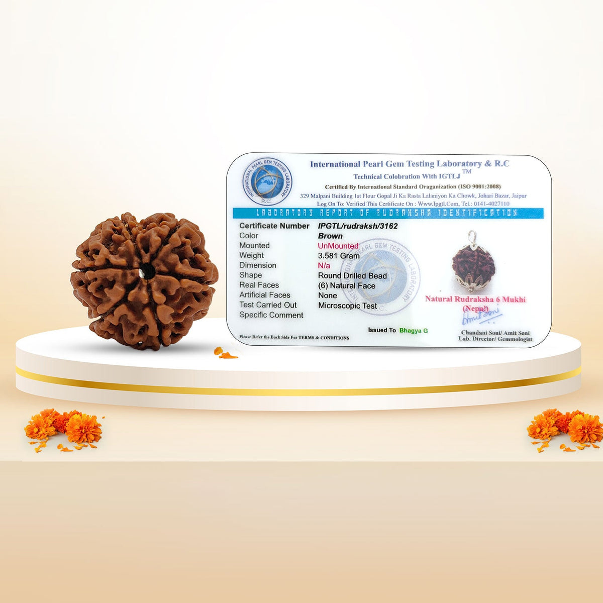 Nepali 6 Mukhi Rudraksha (Lab Certified)