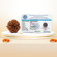 Nepali 7 Mukhi Rudraksha (Lab Certified)