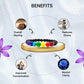 7 Chakra Healing Bracelet (8mm)