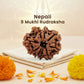 Nepali 9 Mukhi Rudraksha (Lab Certified)