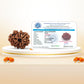 Nepali 9 Mukhi Rudraksha (Lab Certified)