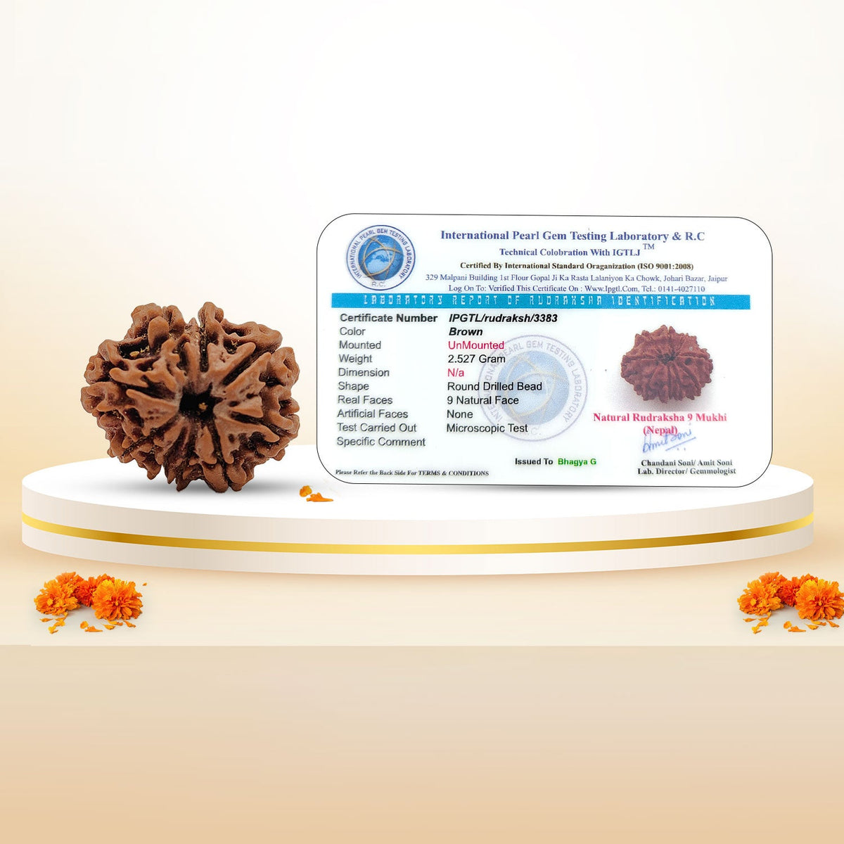Nepali 9 Mukhi Rudraksha (Lab Certified)