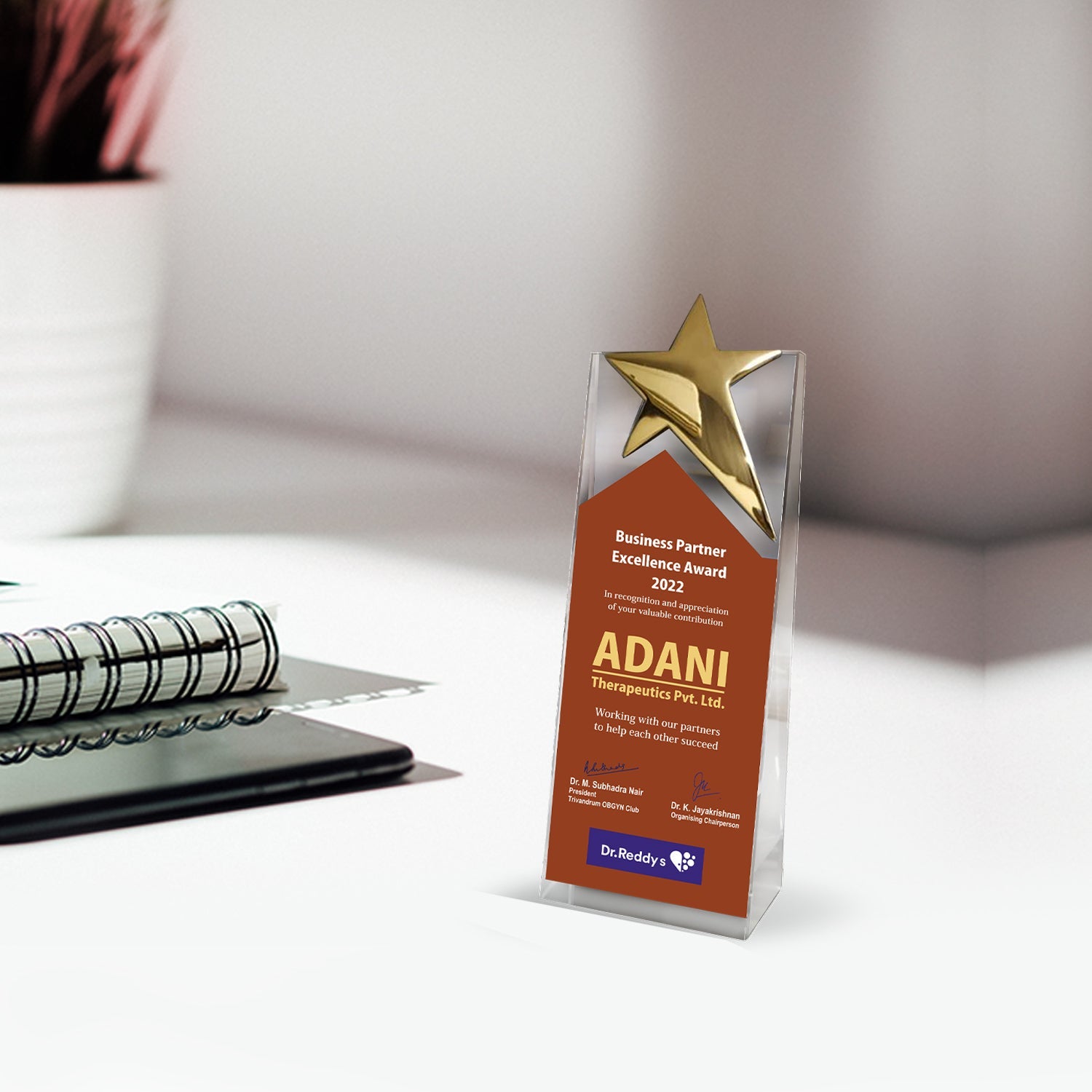 Acrylic Trophy with Metal Star | Custom Corporate Gifts