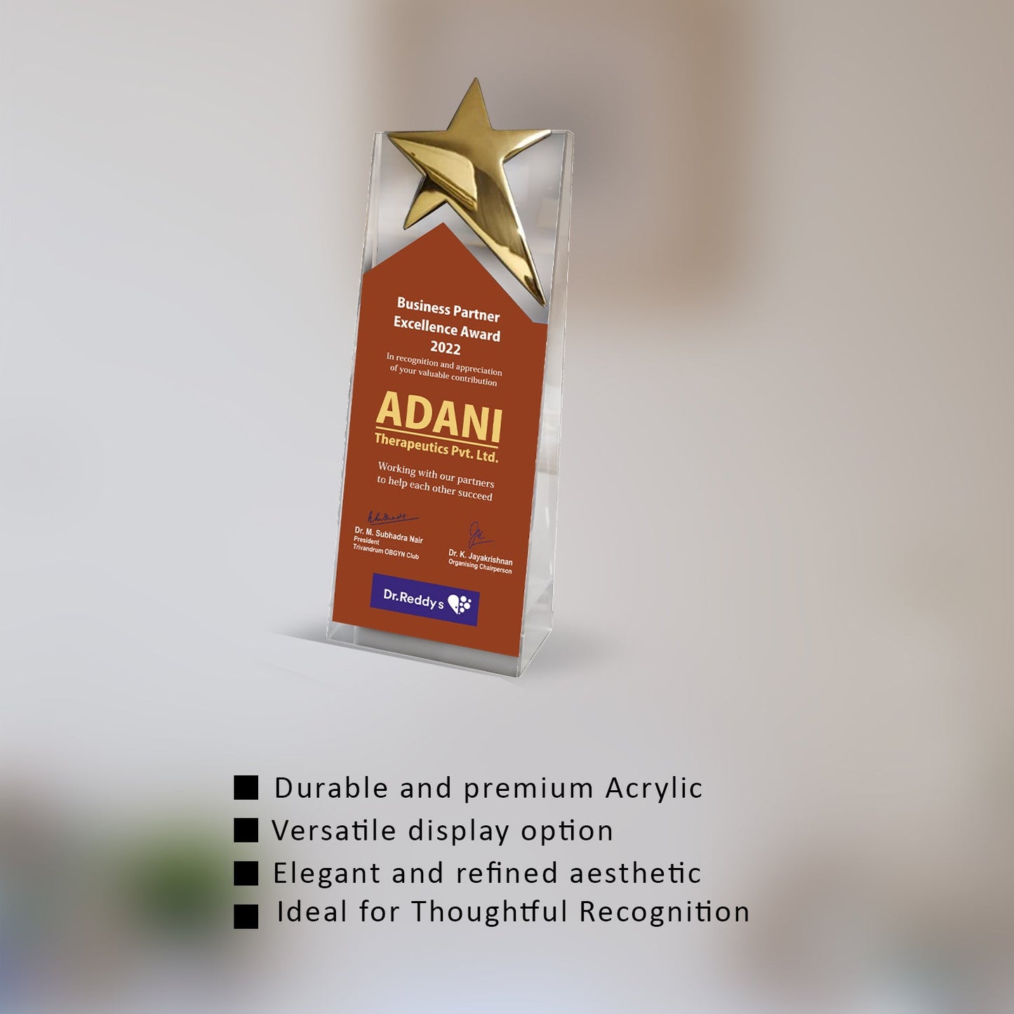 Acrylic Trophy with Metal Star | Custom Corporate Gifts