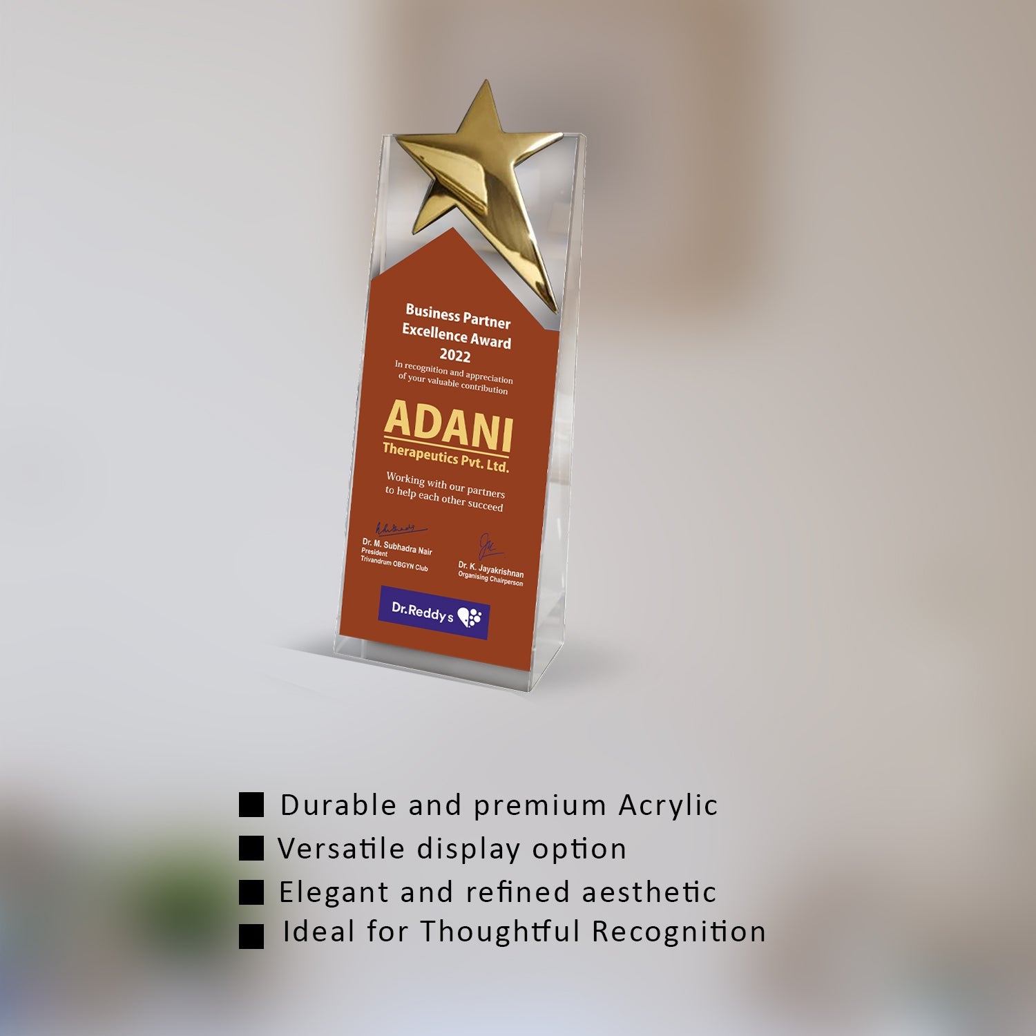 Acrylic Trophy with Metal Star | Custom Corporate Gifts