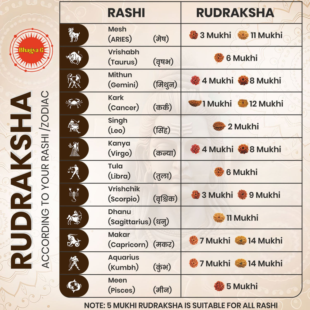 Nepali 11 Mukhi Rudraksha (Lab Certified)