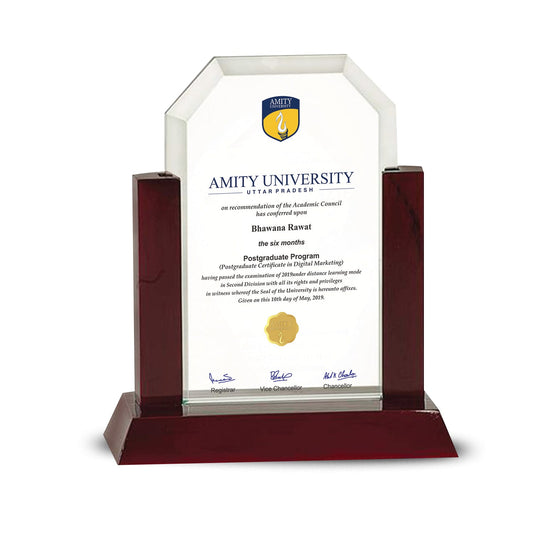 Custom MDF Base Acrylic Trophy for Students