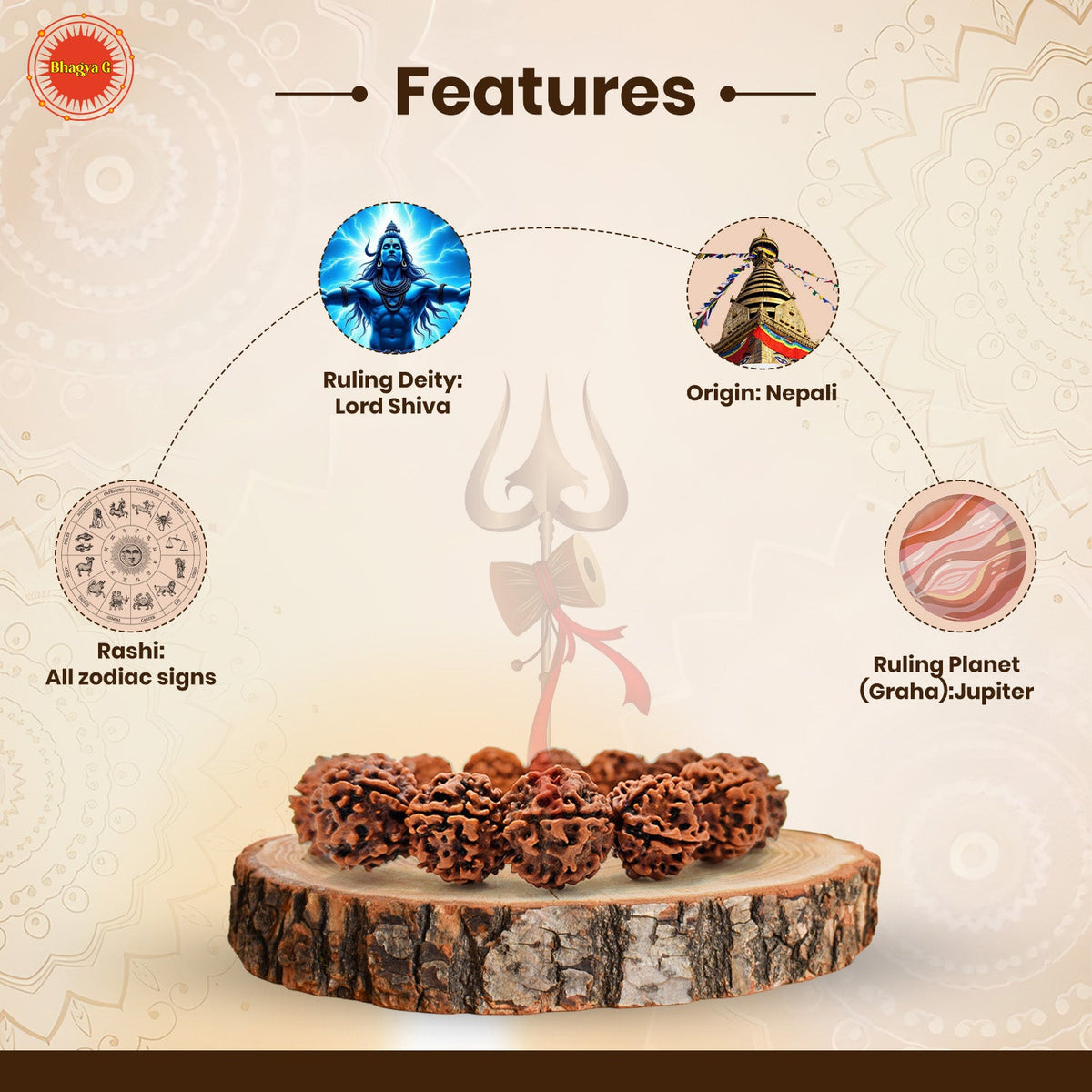 Divine 5 Mukhi Rudraksha Bracelet (Nepali)