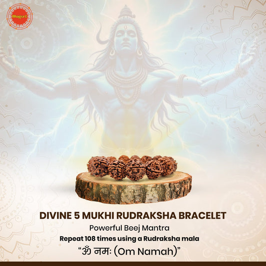 Divine 5 Mukhi Rudraksha Bracelet (Nepali)