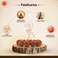 Divine 6 Mukhi Rudraksha Wisdom Bracelet (Nepali)