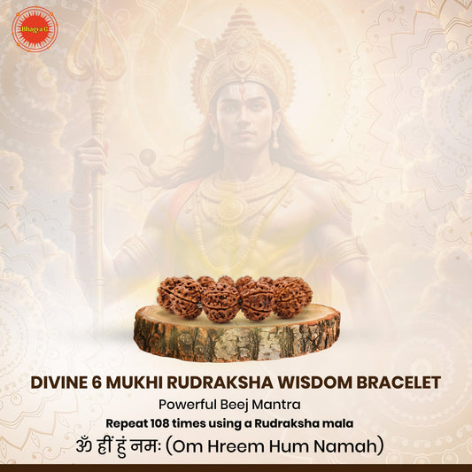 Divine 6 Mukhi Rudraksha Wisdom Bracelet (Nepali)
