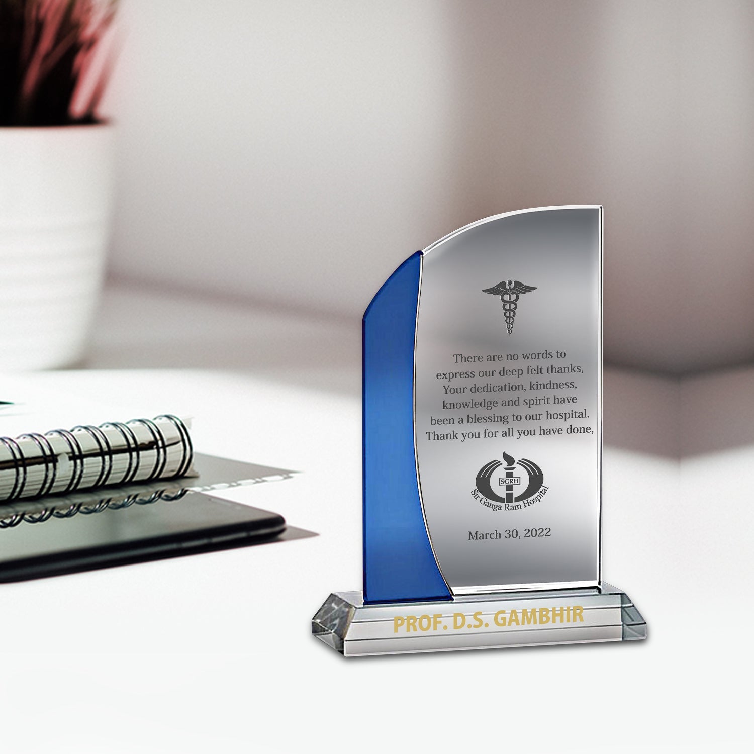 Elegant Acrylic Trophy - Perfect Corporate Gift