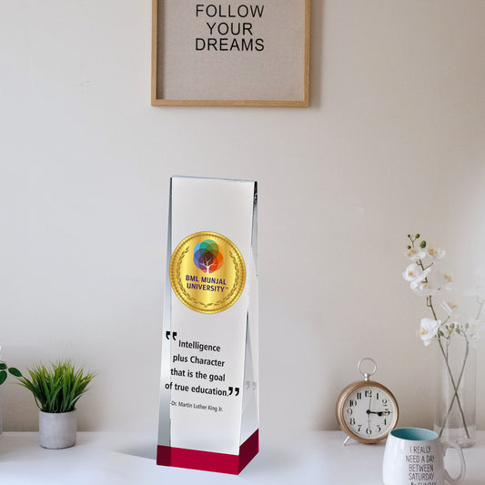 Elegant Customized Acrylic Trophy for Corporate Gifting