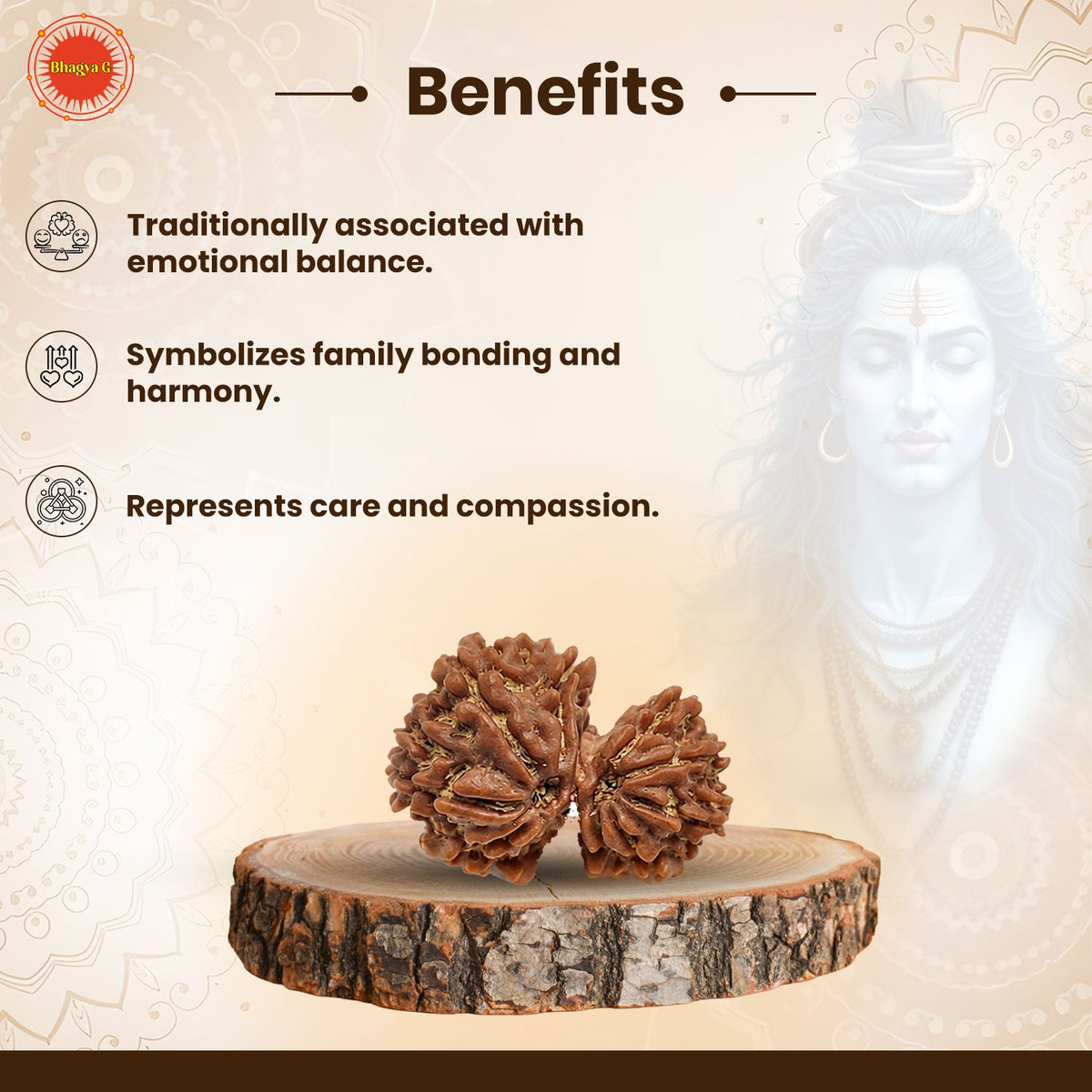 Garbh Gauri Rudraksha