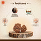 Garbh Gauri Rudraksha