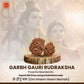 Garbh Gauri Rudraksha