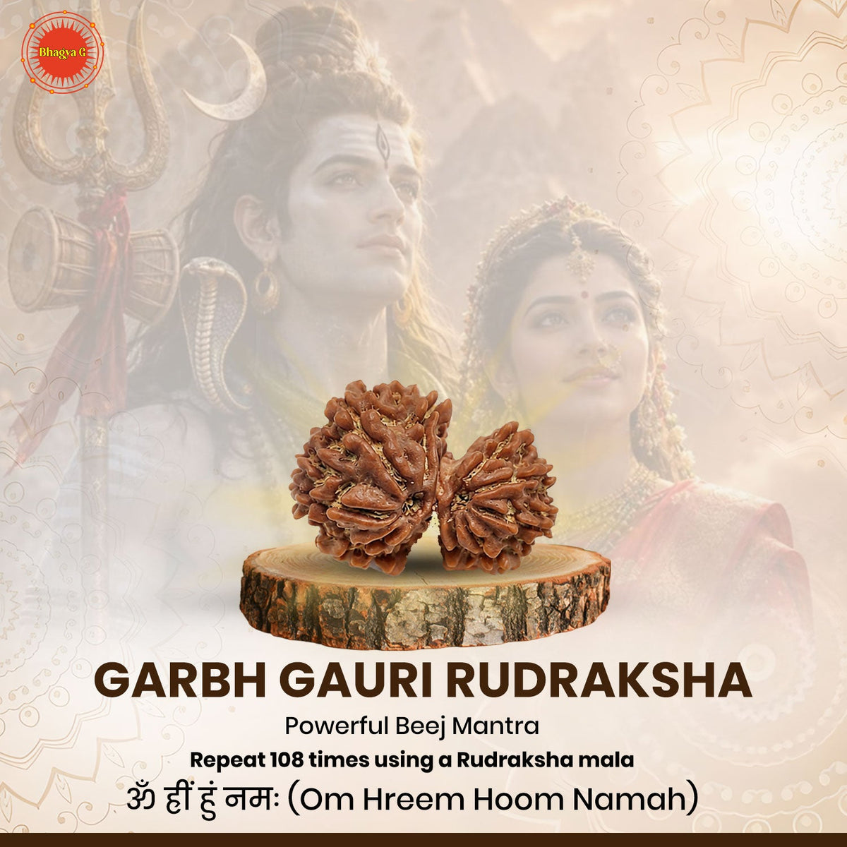 Garbh Gauri Rudraksha