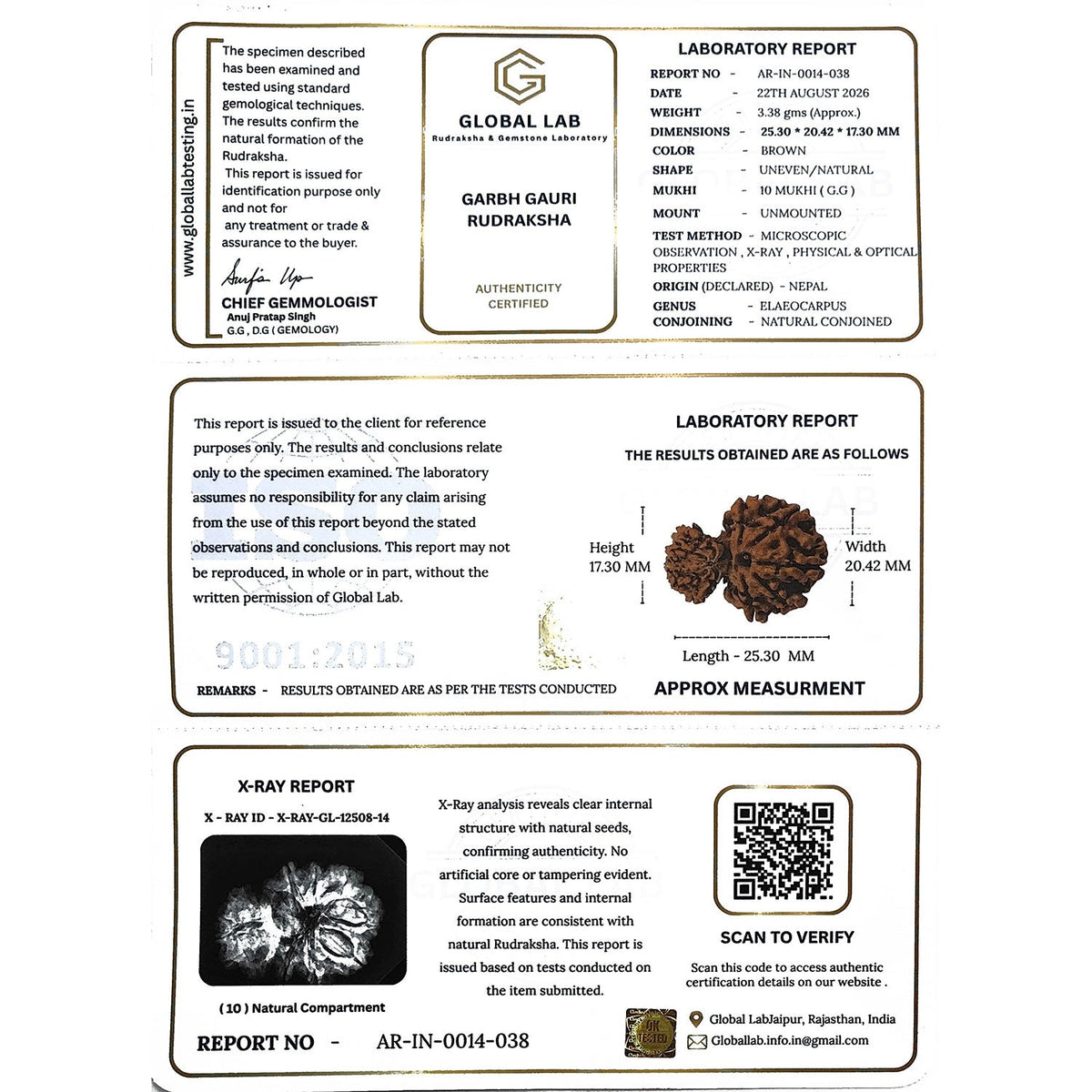 Garbh Gauri Rudraksha