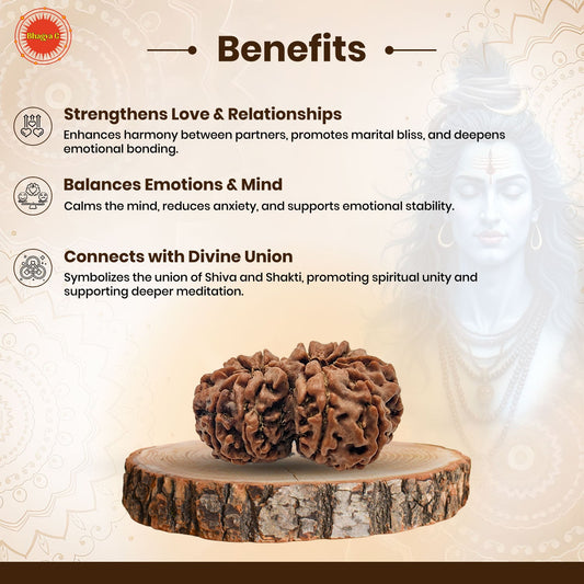 Gauri Shankar Rudraksha