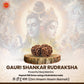 Gauri Shankar Rudraksha