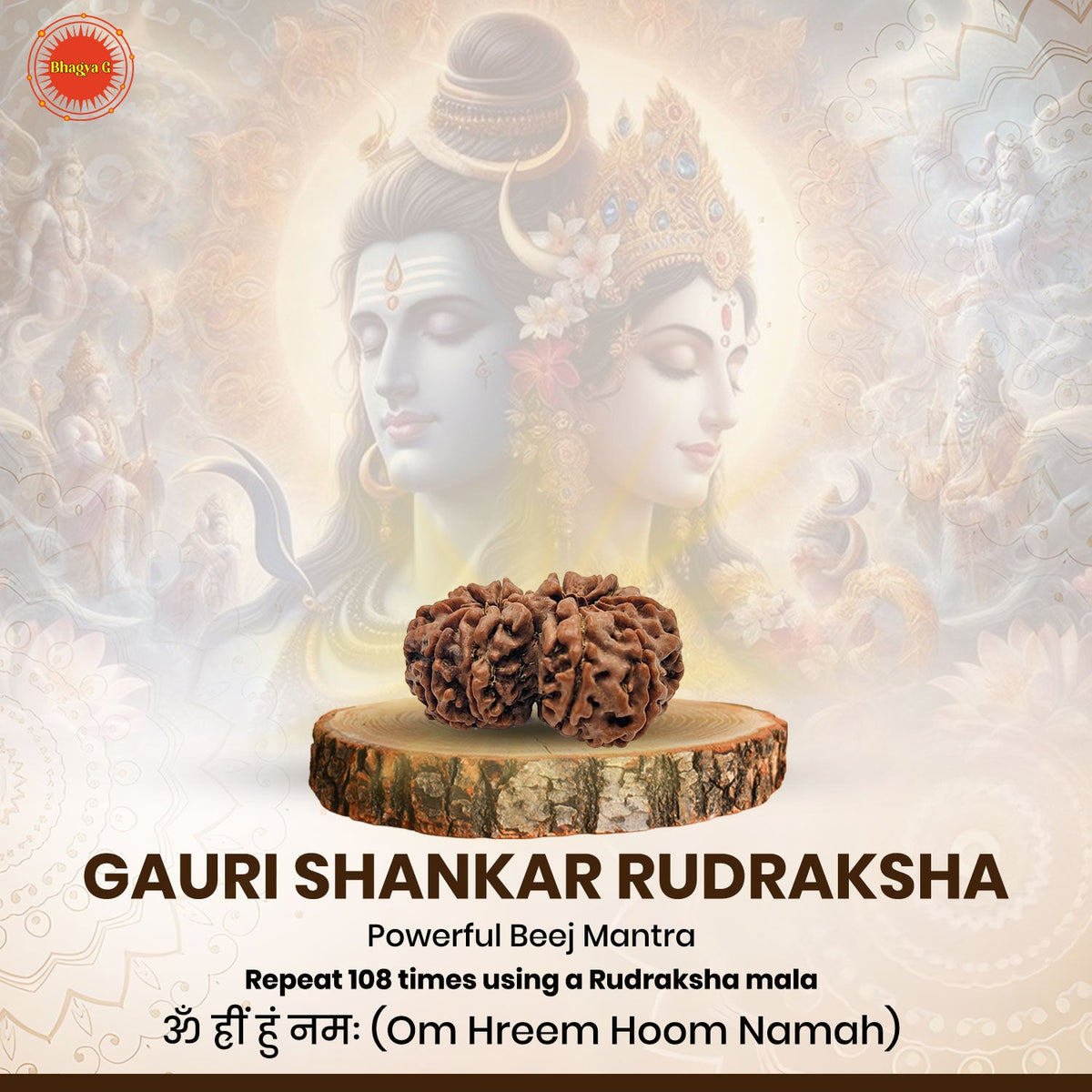 Gauri Shankar Rudraksha