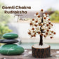 Gomti Chakra Rudraksha Tree - 100 Beads