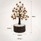 Gomti Chakra Rudraksha Tree - 100 Beads