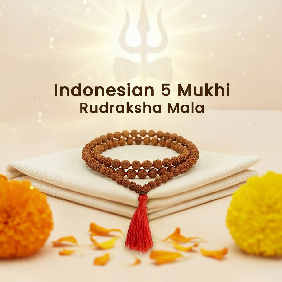 Indonesian 5 Mukhi Rudraksha Mala (108 beads)