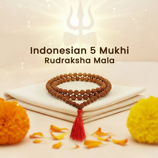 Indonesian 5 Mukhi Rudraksha Mala (108 beads)