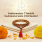 Indonesian 7 Mukhi Rudraksha Mala (108 beads)