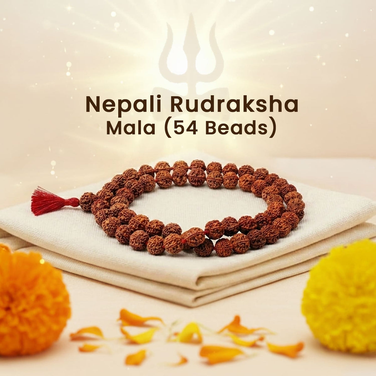 Nepali Rudraksha Mala (54 Beads)