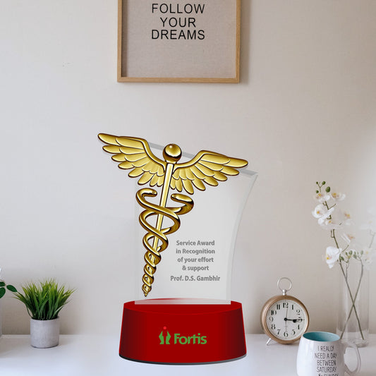 Personalized Corporate Acrylic Trophy with Gold Logo