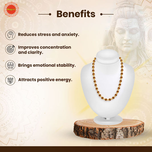 Premium Gold Plated Rudraksha Mala