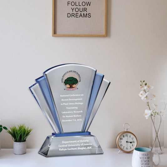 Premium Acrylic Trophy - Ideal Corporate Gift