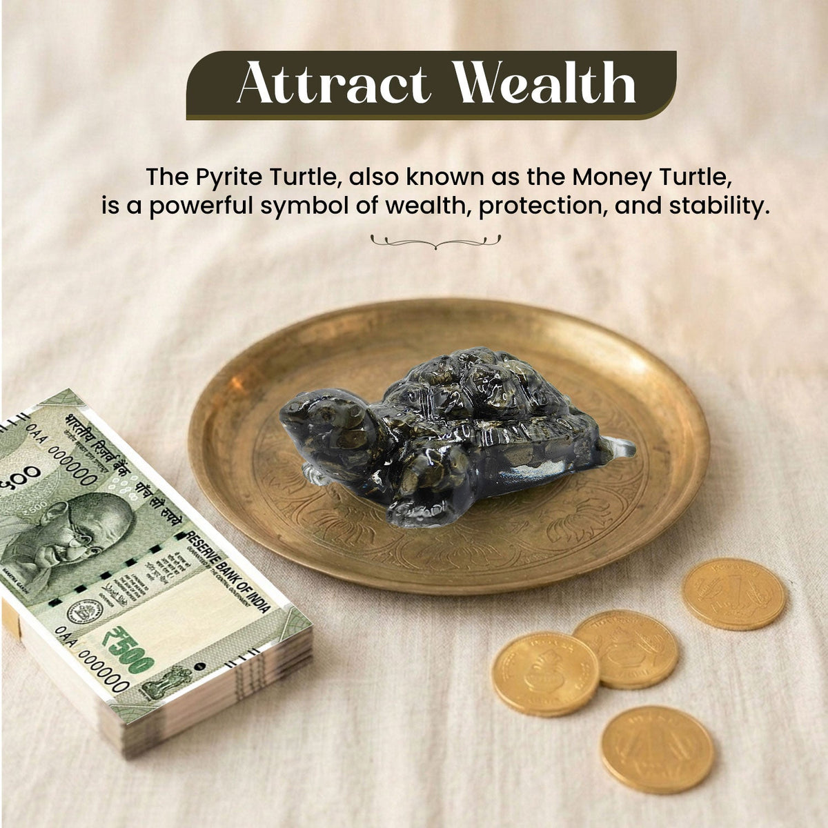 Pyrite Turtle (Kachhua)