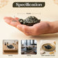 Pyrite Turtle (Kachhua)