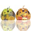 Diviniti Lemon Ice And Tangerine Fragnance Car Air Freshner Combo Set Of 2 Pcs (DCAC023)
